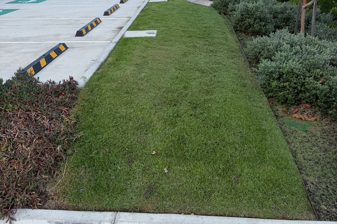 Charter Hall Industrial — linear lawn strip with bollards